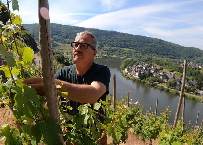 Rieslingakademie 住宿加早餐酒店